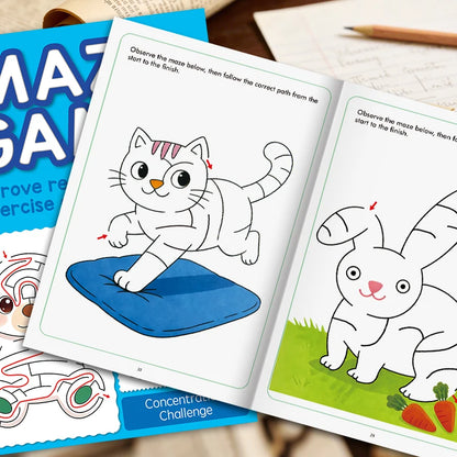 Fun Maze Drawing Book